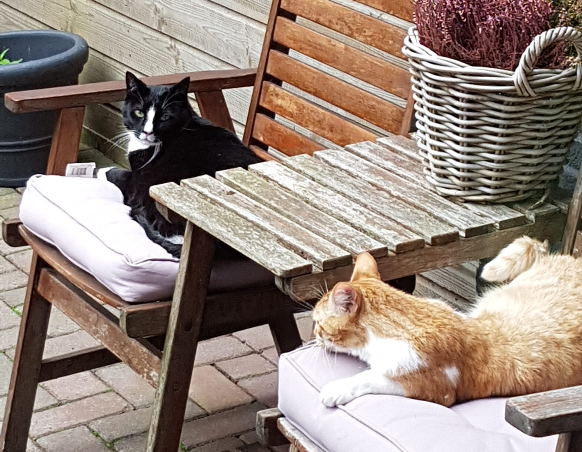 relaxen